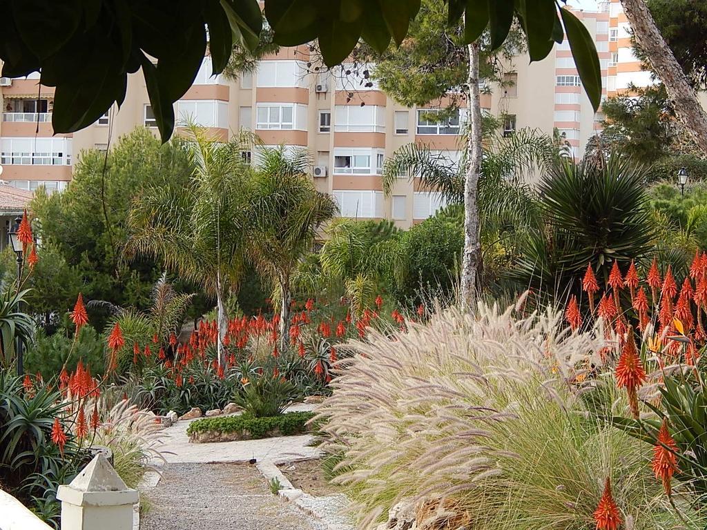 La Corbeta Apartment Torrox Room photo